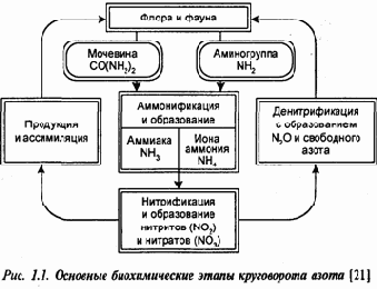 Экология и безопасность жизнедеятельности
