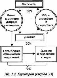 Экология и безопасность жизнедеятельности