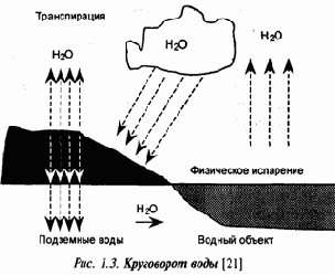 Экология и безопасность жизнедеятельности