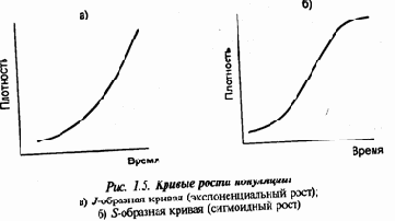 Экология и безопасность жизнедеятельности