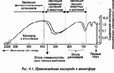 Экология и безопасность жизнедеятельности