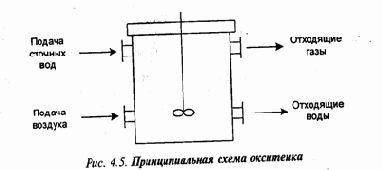 Экология и безопасность жизнедеятельности