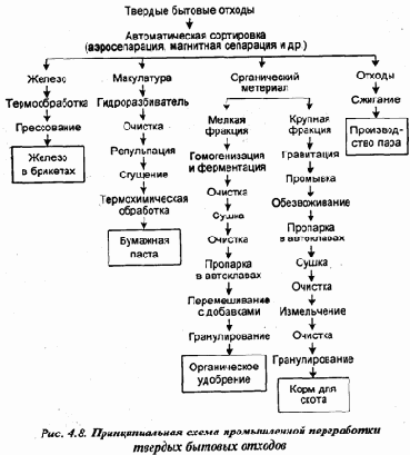 Экология и безопасность жизнедеятельности