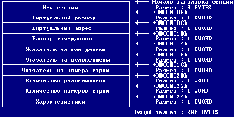 IMAGE_SECTION_HEADER